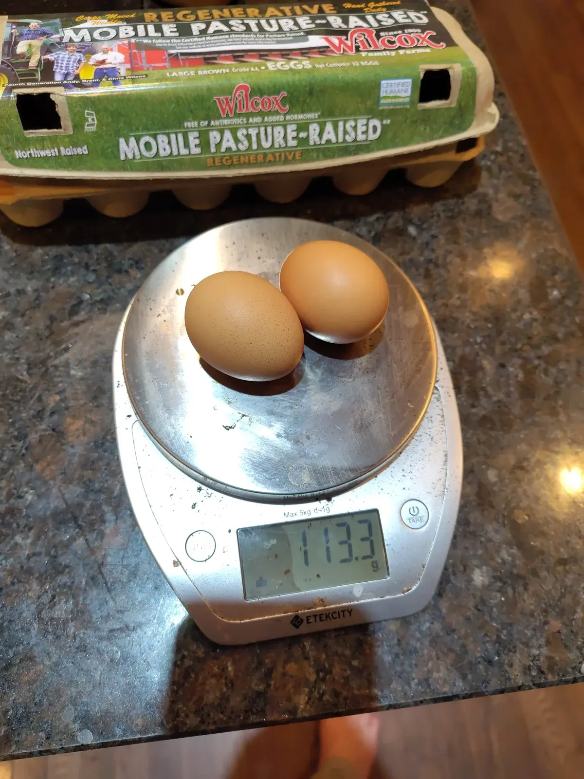 Eggs on scale